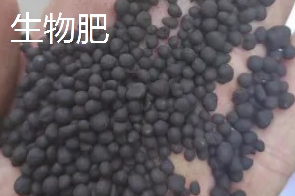 使用肥料过多久会见效，使用碳铵当天就会生效