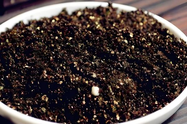 为什么仙人指越长越细，可能是土壤板结所致