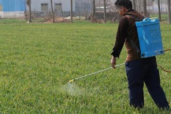 黄豆苗前封闭用哪些药,推荐乙草胺、氯嘧磺隆等