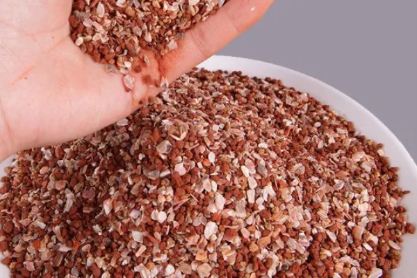 鸽子缺钙站不起来怎么处理,准备钙片帮助它们快速补钙