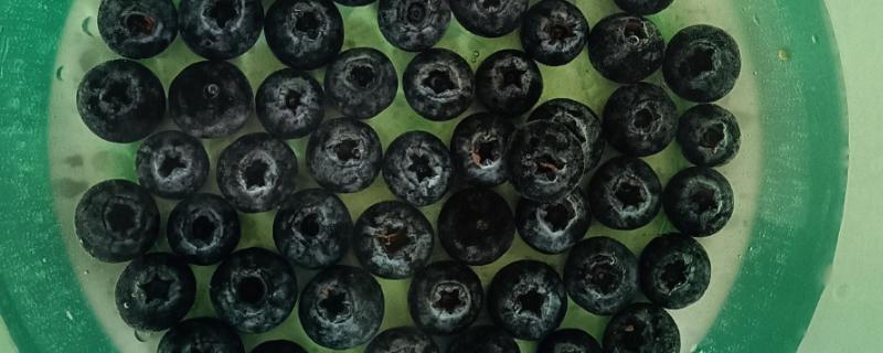 怎么洗蓝莓，可直接用清水冲洗