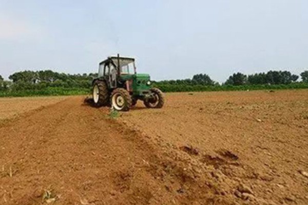 葫芦的种植方法,播种前将种子浸泡在45℃的温水中