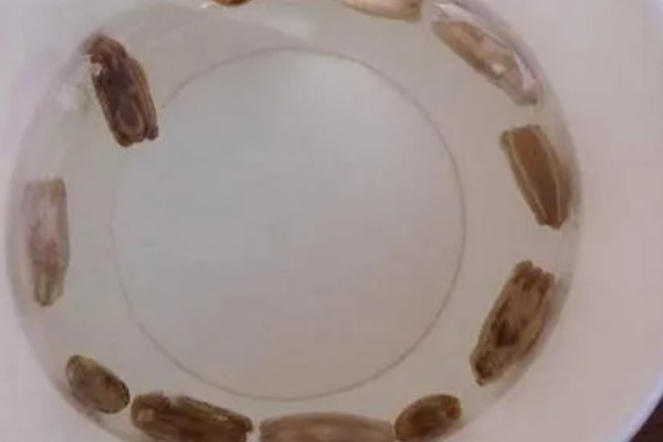 葫芦的种植方法,播种前将种子浸泡在45℃的温水中