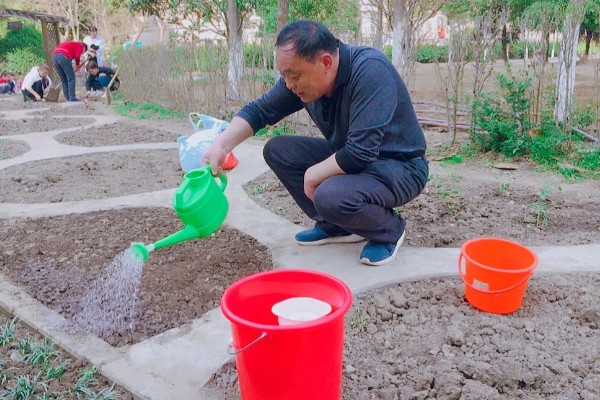 葫芦的种植方法,播种前将种子浸泡在45℃的温水中
