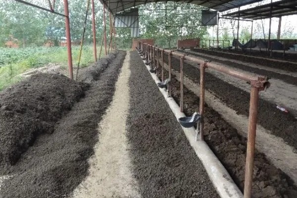 蚯蚓怎么养殖,将温度控制在10-30℃