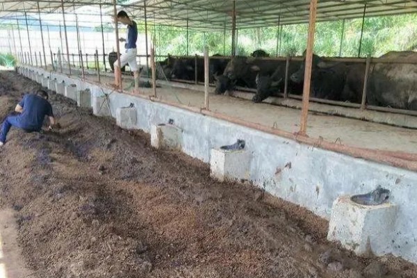 蚯蚓怎么养殖,将温度控制在10-30℃