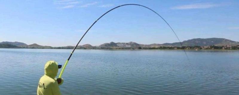 钓鱼主线和子线的区别,连接位置和粗细程度均不同