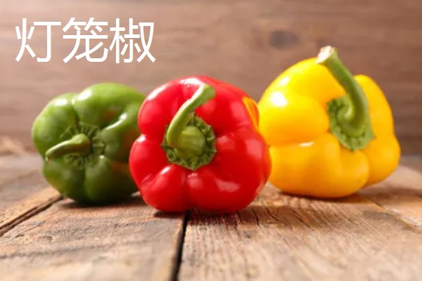 灯笼椒与二荆条有什么区别,外观、口感、食用方法都不同
