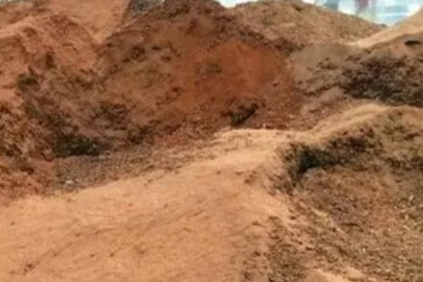 松茸怎么种植，室外种植要覆盖薄膜