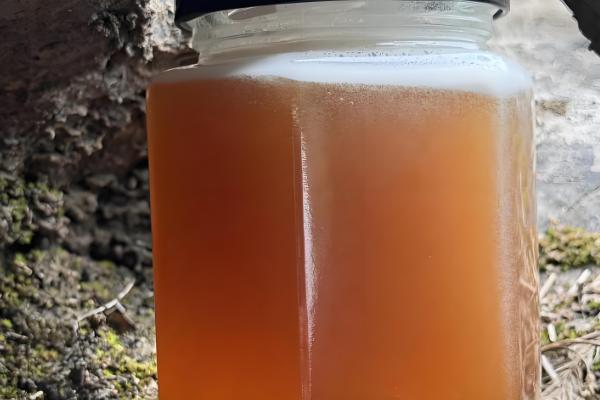 党参蜜的简介，属于稀有蜂蜜