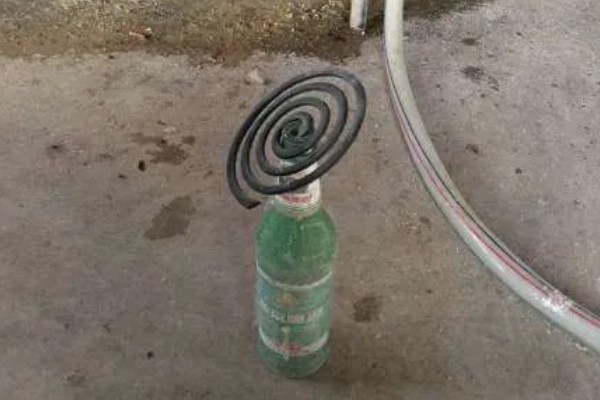 在猪圈里点蚊香有影响吗，长时间使用会导致猪慢性中毒