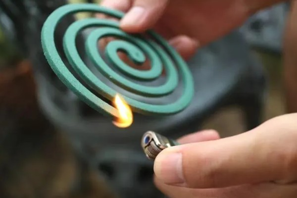 在猪圈里点蚊香有影响吗，长时间使用会导致猪慢性中毒