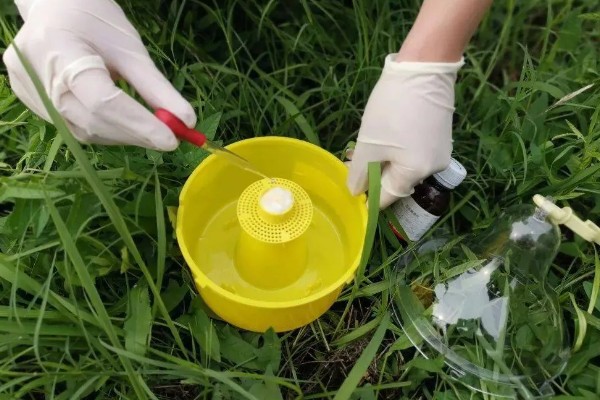 性引诱剂是什么防治,属于生物防治