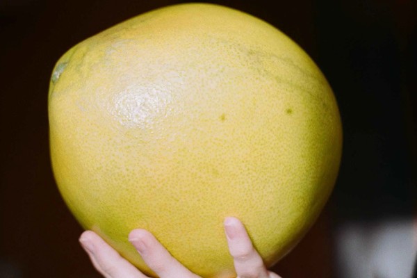 如何扒开柚子,先用刀在中心划一圈