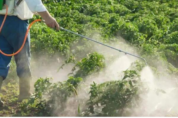 生物杀虫剂的运用禁忌,忌用劣质药剂