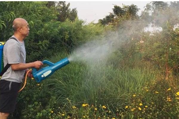 生物杀虫剂的运用禁忌,忌用劣质药剂