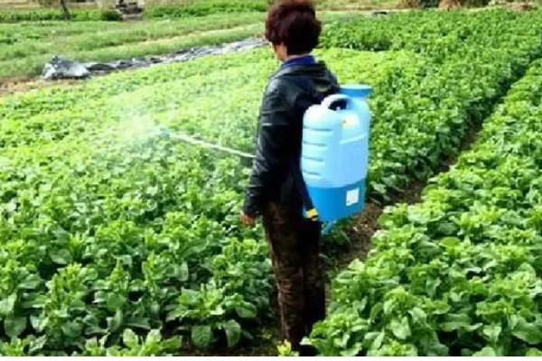 生物杀虫剂的运用禁忌,忌用劣质药剂