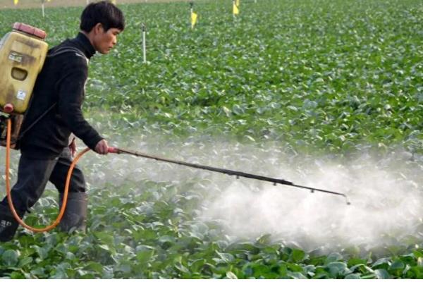 生物杀虫剂的运用禁忌,忌用劣质药剂