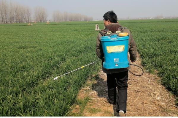 生物杀虫剂的运用禁忌,忌用劣质药剂