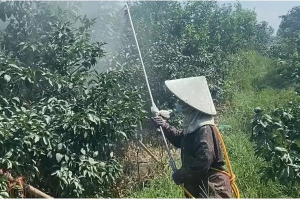 生物杀虫剂的运用禁忌,忌用劣质药剂