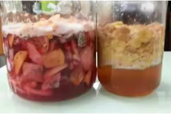 酵素肥的制作方法，原料有果皮、红糖及清水