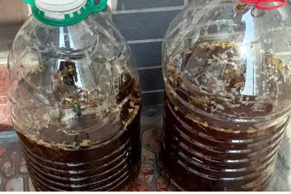 酵素肥的制作方法，原料有果皮、红糖及清水