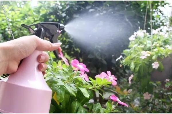 酵素肥的制作方法，原料有果皮、红糖及清水