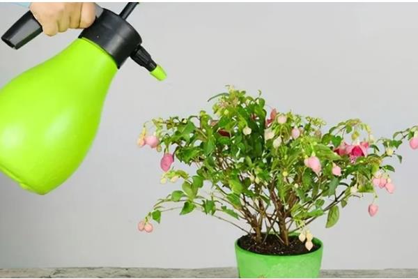 酵素肥的制作方法，原料有果皮、红糖及清水