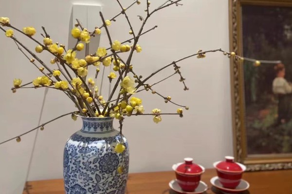 腊梅花怎么保存,首先要对其进行修剪