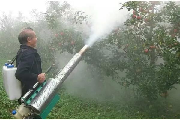 怎样提高苹果的亩产值,首先要选择高产、抗病能力强的品种