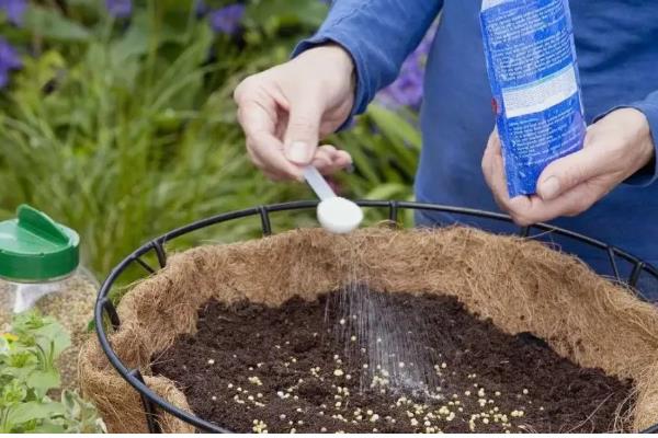 牛奶怎么浇花,用牛奶勾兑200倍的清水