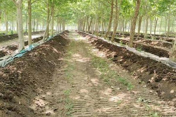 养蚯蚓需要哪些条件,适宜温度为20-27℃