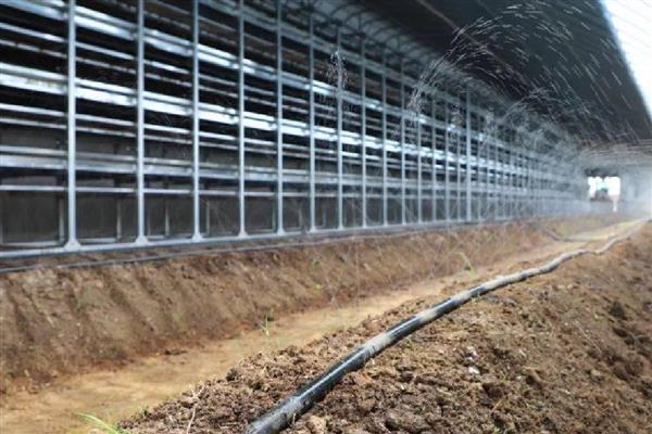 养蚯蚓需要哪些条件,适宜温度为20-27℃