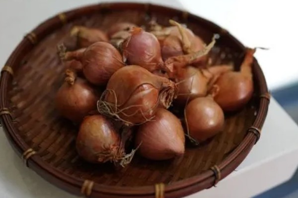 红葱头的家庭种植方法,通常来说在7月到9月均可种植