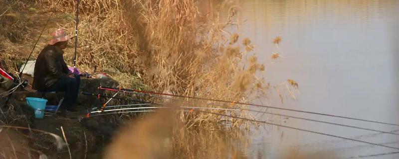 冬天野钓最佳时间，从上午10点左右开始