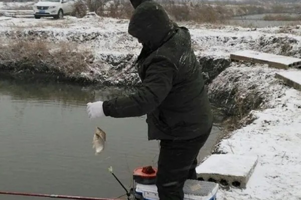 冬天野钓最佳时间,从上午10点左右开始