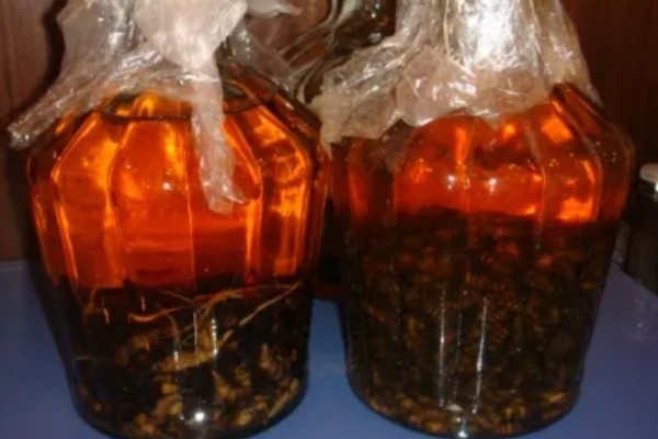 冬天野钓最佳时间,从上午10点左右开始