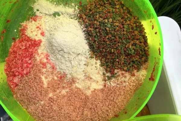 冬天野钓最佳时间,从上午10点左右开始