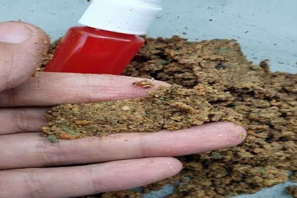 冬天野钓最佳时间,从上午10点左右开始