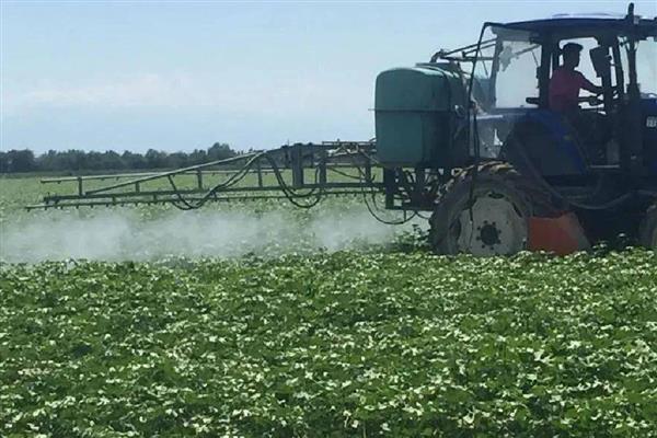 棉花烂种缺苗死苗怎么防治，播种前晾晒种子可以提高活性