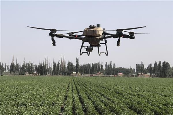棉花烂种缺苗死苗怎么防治，播种前晾晒种子可以提高活性