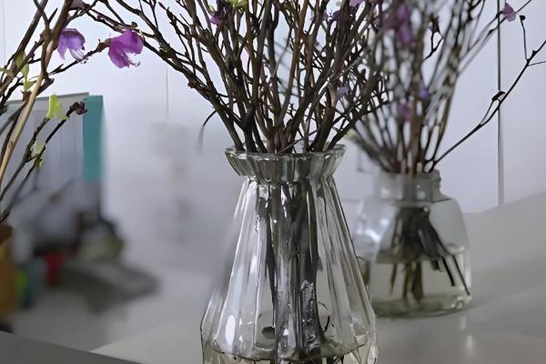 干枝杜鹃冬季养护方法，每隔1周浇一次水