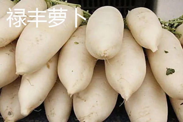 云南省禄丰市的特产，有禄丰萝卜、彝尊酒等