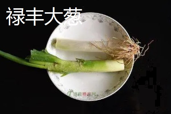 云南省禄丰市的特产，有禄丰萝卜、彝尊酒等