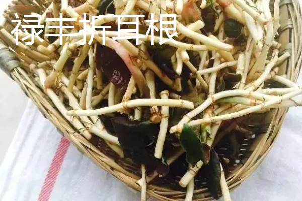 云南省禄丰市的特产，有禄丰萝卜、彝尊酒等