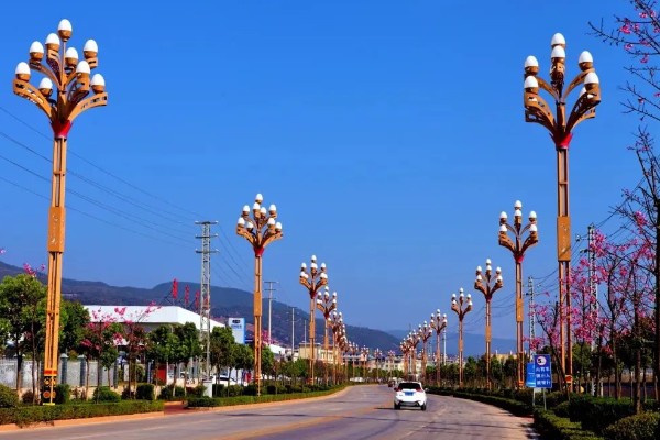 云南省禄丰市的特产，有禄丰萝卜、彝尊酒等