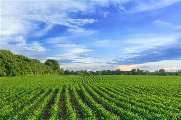 农业是不是第一产业，属于第一产业可分为数种类型