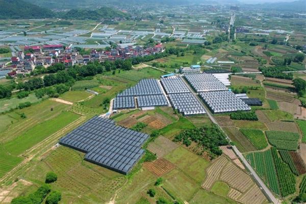 农业是不是第一产业，属于第一产业可分为数种类型