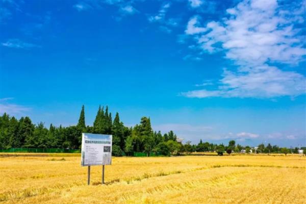 农业是不是第一产业，属于第一产业可分为数种类型