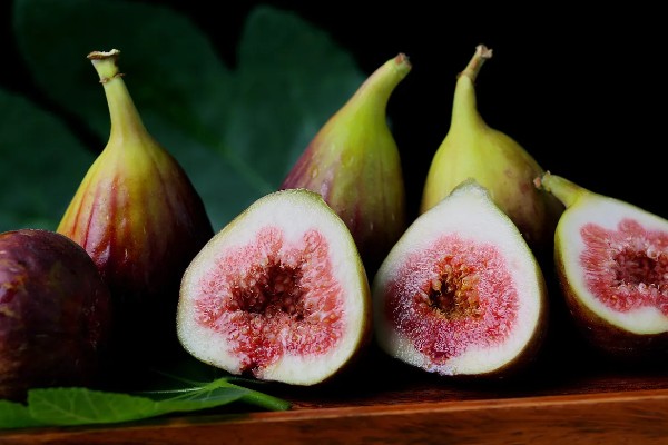 无花果树会开花吗，无花果树会开花